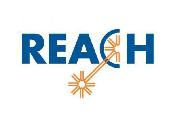 欧洲防护口罩REACH检测项目有哪些